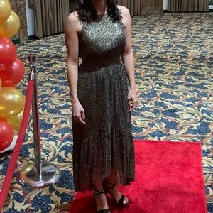 Banana Republic Petite Metallic High-low dress. Mint condition.